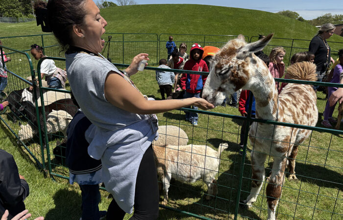 Zoo 5-MT_web Teacher Angela Buhle is surprised by the slobber she got when the lama licked her hand. (Marilyn Thomas/H-F Chronicle)