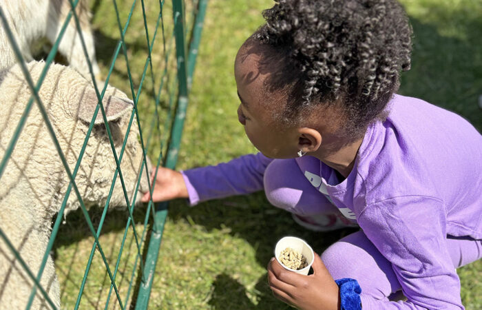 Zoo 6-web Regan Lewis gets down to feed the sheep at the petting zoo. (Marilyn Thomas/H-F Chronicle)