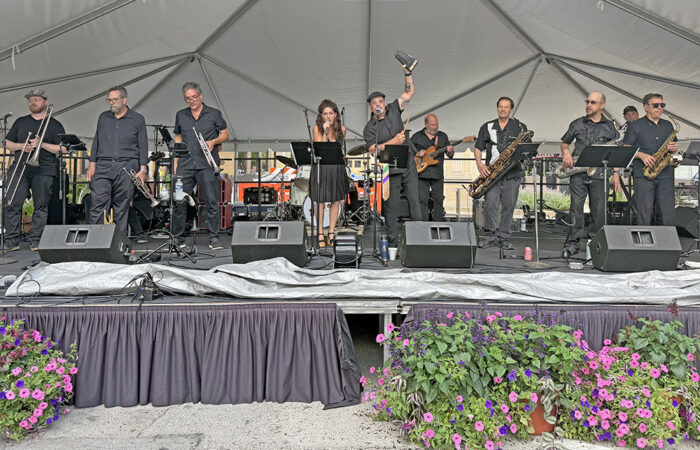 Art & Garden -Ulanowski3_web Southtown Soul and Groove performs at the Homewood Art & Garden Fair. (Nick Ulanowski / H-F Chronicle)