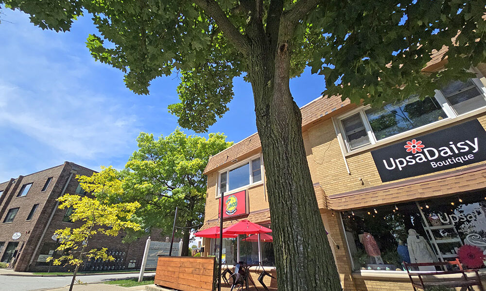 Trees along Martin Avenue in Homewood were the subject of a tree tour conducted by Master Gardener Tony Greep on Saturday, June 13, as part of the village Tree Committee's Green Thumb Saturday series. (Eric Crump/H-F Chronicle)