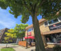 Homewood tree walk helps residents learn about tress in urban areas