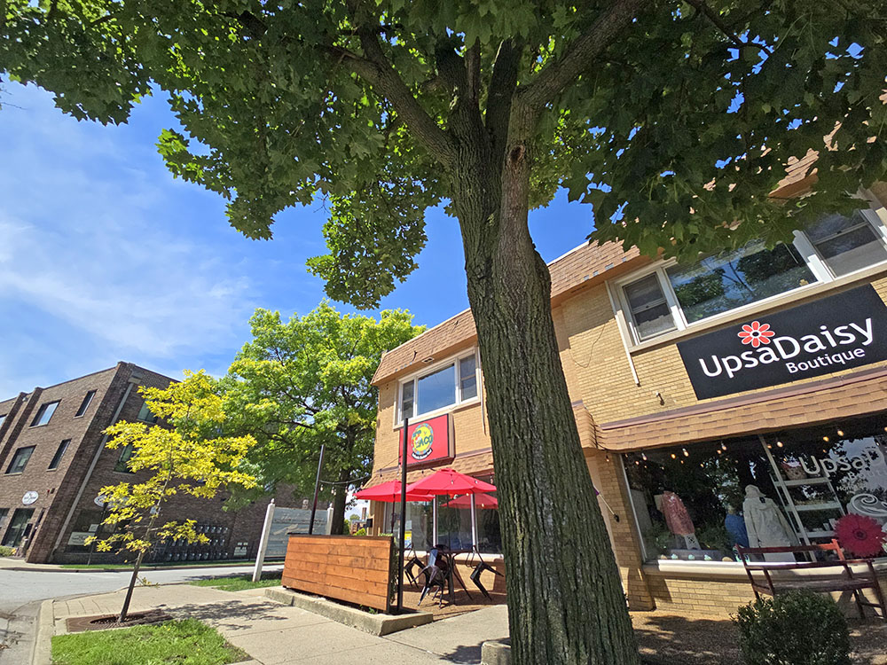 Trees along Martin Avenue in Homewood were the subject of a tree tour conducted by Master Gardener Tony Greep on Saturday, June 13, as part of the village Tree Committee's Green Thumb Saturday series. (Eric Crump/H-F Chronicle)