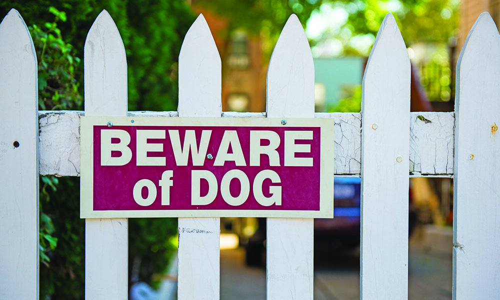 Local residents report traumatic encounters with loose dogs in Homewood. (Adobe stock photo)