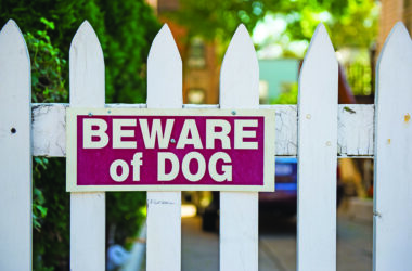 Local residents report traumatic encounters with loose dogs in Homewood. (Adobe stock photo)