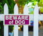Dog safety: Dog attack survivors urge safety changes