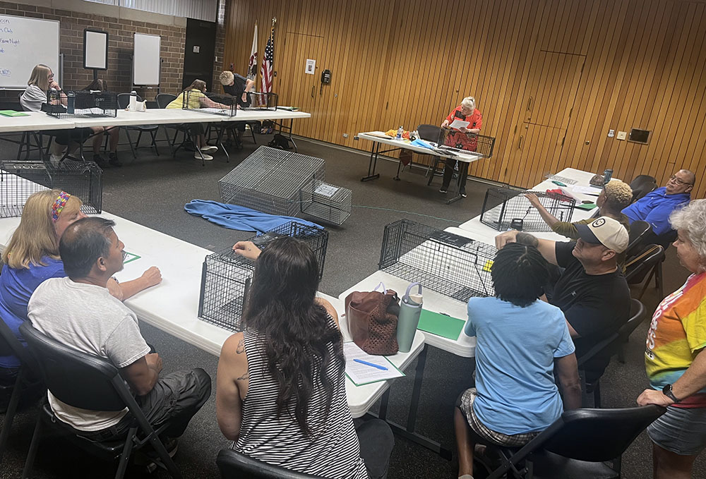 Triple R Pets Workshop helps residents learn to care for feral cats