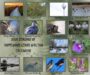 Izaak Walton Preserve seeks photos for 2027 edition of ‘Seasons’ calendar